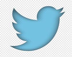Disaster Tweet Classification Project Image